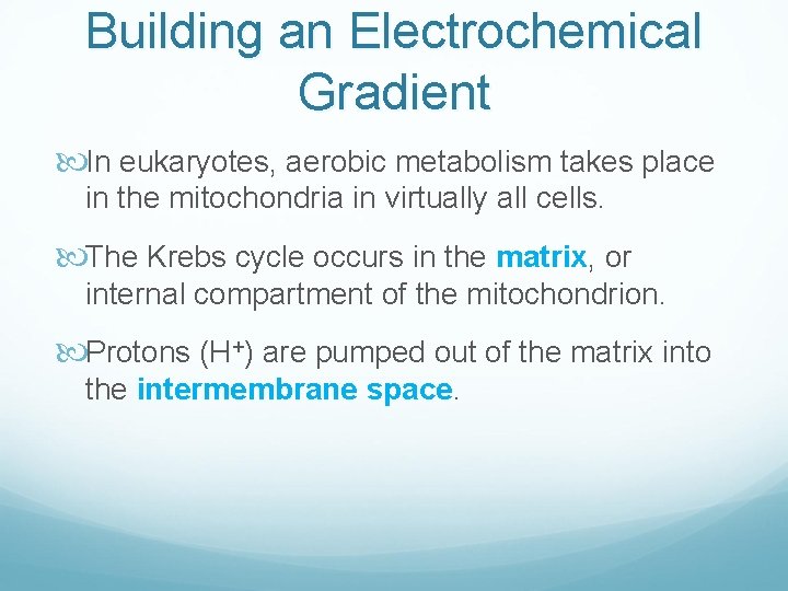 Building an Electrochemical Gradient In eukaryotes, aerobic metabolism takes place in the mitochondria in