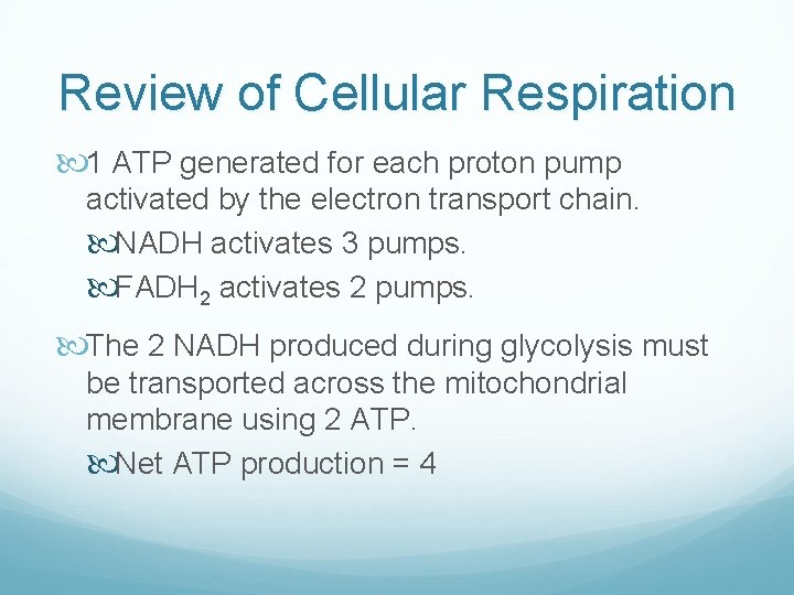Review of Cellular Respiration 1 ATP generated for each proton pump activated by the