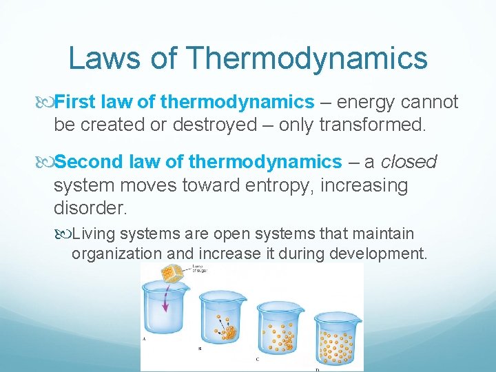 Laws of Thermodynamics First law of thermodynamics – energy cannot be created or destroyed