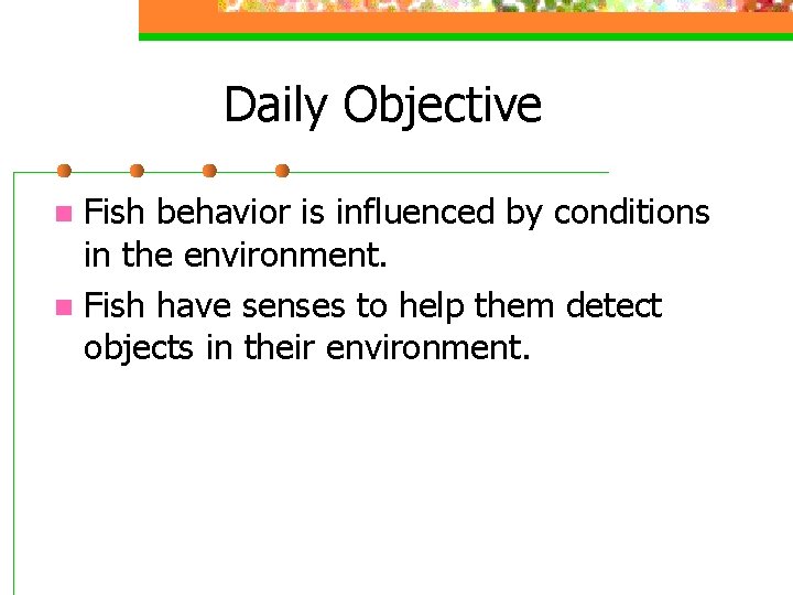 Goldfish Behavior Part 3 Daily Objective Fish behavior