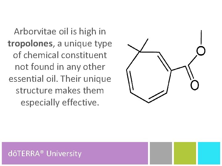 Arborvitae oil is high in tropolones, a unique type of chemical constituent not found