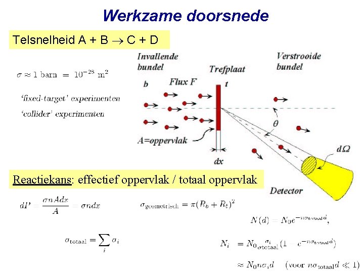 Werkzame doorsnede Telsnelheid A + B C + D Reactiekans: effectief oppervlak / totaal