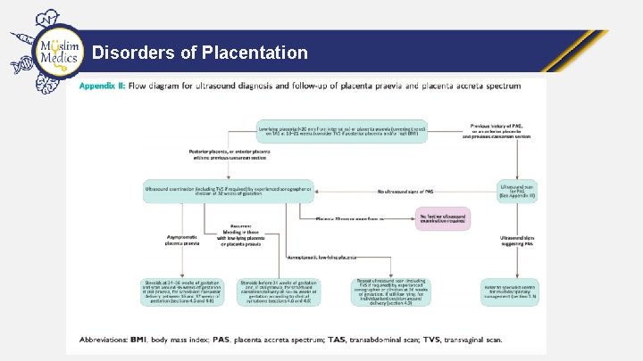 Disorders of Placentation 