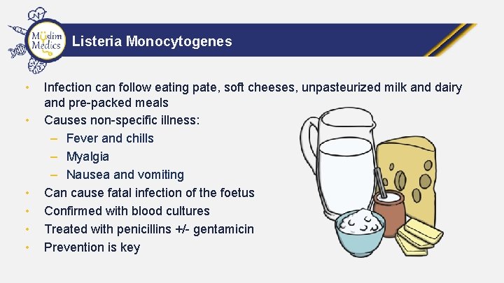 Listeria Monocytogenes • • • Infection can follow eating pate, soft cheeses, unpasteurized milk