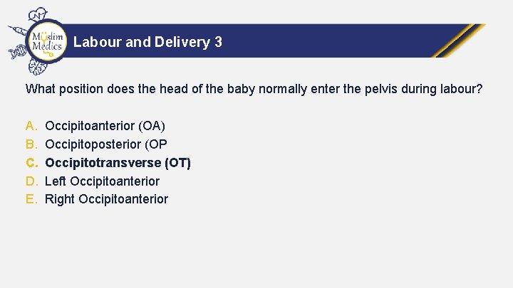 Labour and Delivery 3 What position does the head of the baby normally enter