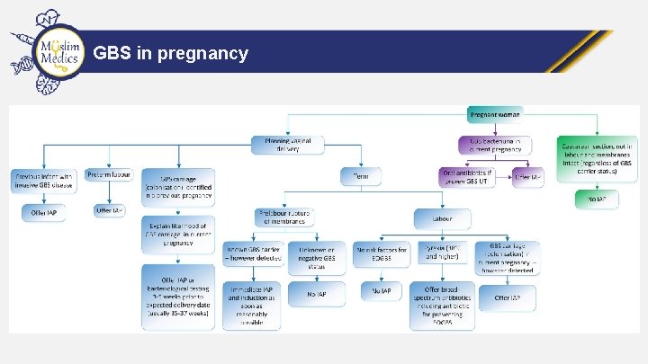 GBS in pregnancy 