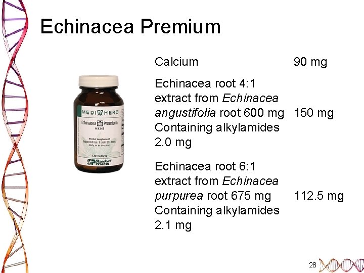 Echinacea Premium Calcium 90 mg Echinacea root 4: 1 extract from Echinacea angustifolia root