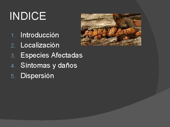 INDICE 1. 2. 3. 4. 5. Introducción Localización Especies Afectadas Síntomas y daños Dispersión