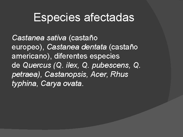 Especies afectadas Castanea sativa (castaño europeo), Castanea dentata (castaño americano), diferentes especies de Quercus