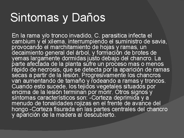 Sintomas y Daños En la rama y/o tronco invadido, C. parasitica infecta el cambium