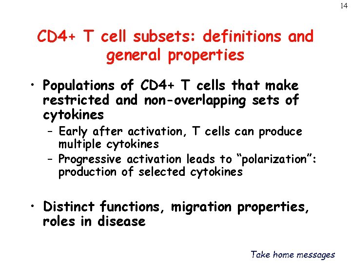 14 CD 4+ T cell subsets: definitions and general properties • Populations of CD
