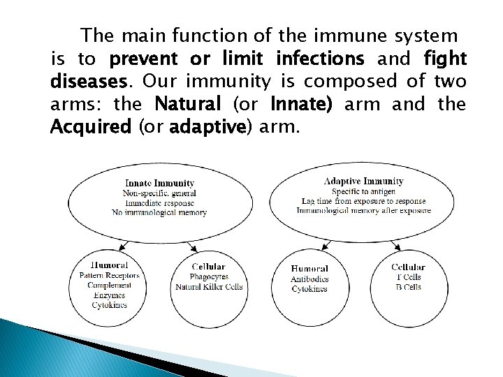 The main function of the immune system is to prevent or limit infections and
