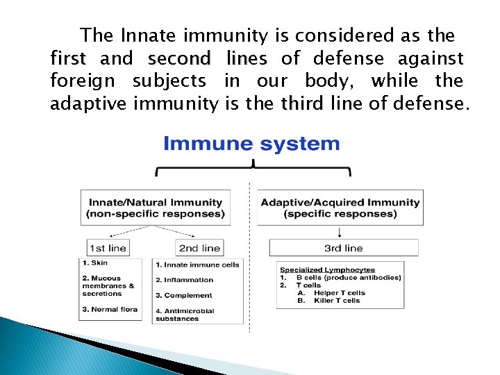 The Innate immunity is considered as the first and second lines of defense against