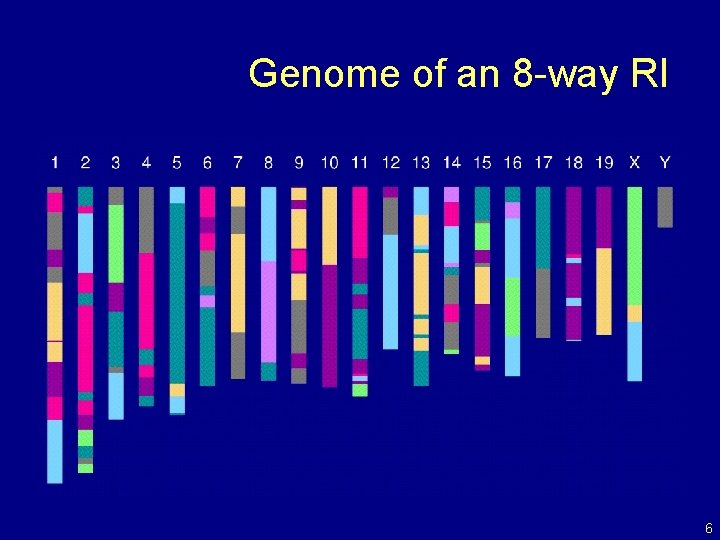 Genome of an 8 -way RI 6 