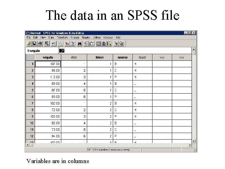 The data in an SPSS file Variables are in columns 