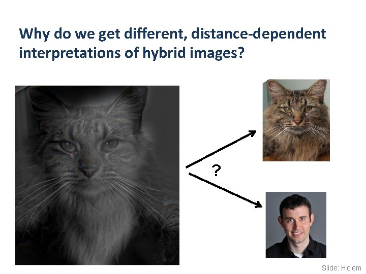 Why do we get different, distance-dependent interpretations of hybrid images? ? Slide: Hoiem 