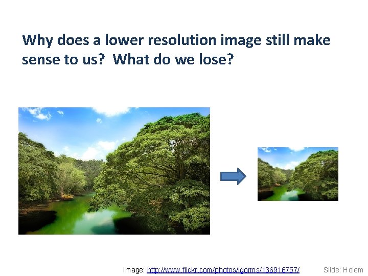 Why does a lower resolution image still make sense to us? What do we