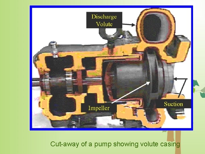 Cut-away of a pump showing volute casing 