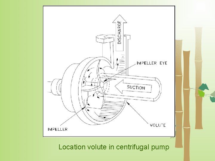 Location volute in centrifugal pump 