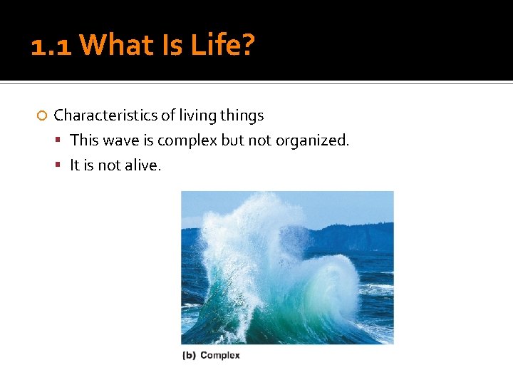 1. 1 What Is Life? Characteristics of living things This wave is complex but