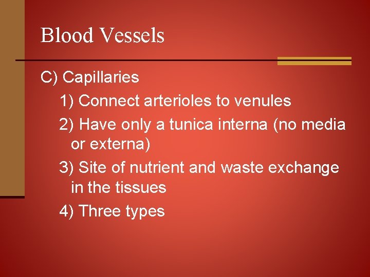 Blood Vessels C) Capillaries 1) Connect arterioles to venules 2) Have only a tunica