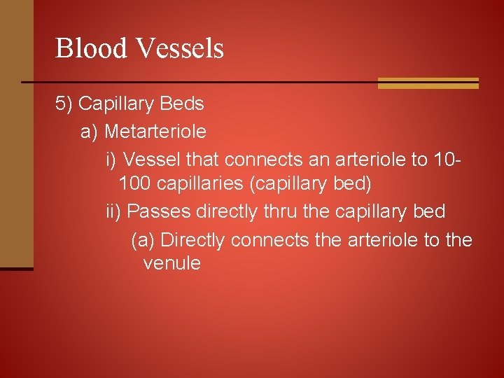Blood Vessels 5) Capillary Beds a) Metarteriole i) Vessel that connects an arteriole to