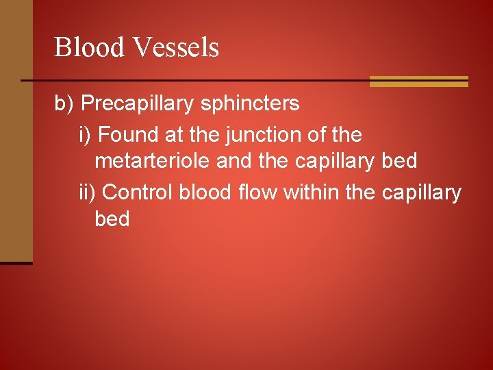 Blood Vessels b) Precapillary sphincters i) Found at the junction of the metarteriole and