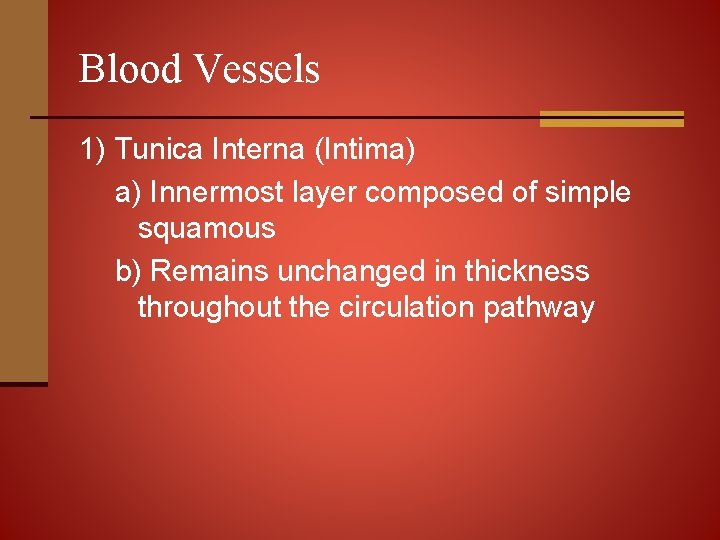 Blood Vessels 1) Tunica Interna (Intima) a) Innermost layer composed of simple squamous b)