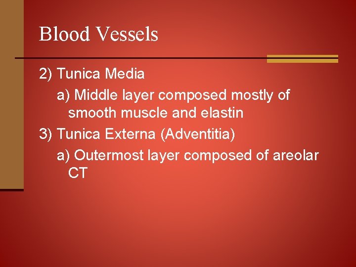 Blood Vessels 2) Tunica Media a) Middle layer composed mostly of smooth muscle and