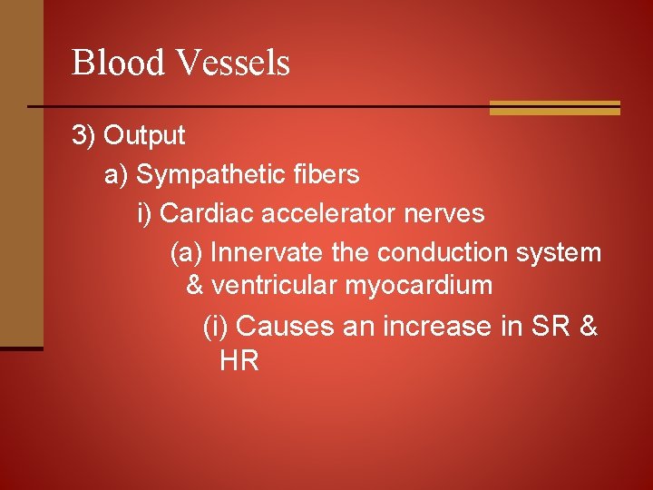 Blood Vessels 3) Output a) Sympathetic fibers i) Cardiac accelerator nerves (a) Innervate the
