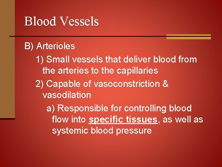Blood Vessels B) Arterioles 1) Small vessels that deliver blood from the arteries to