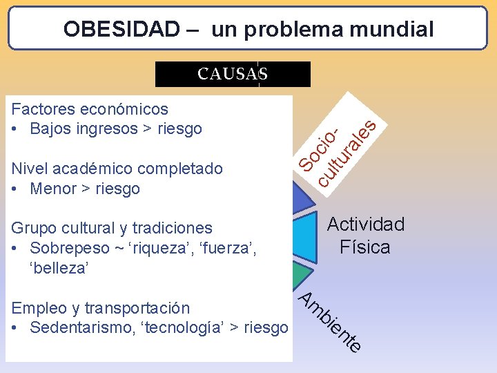 OBESIDAD – un problema mundial CAUSAS So cu cio ltu ra les Factores económicos