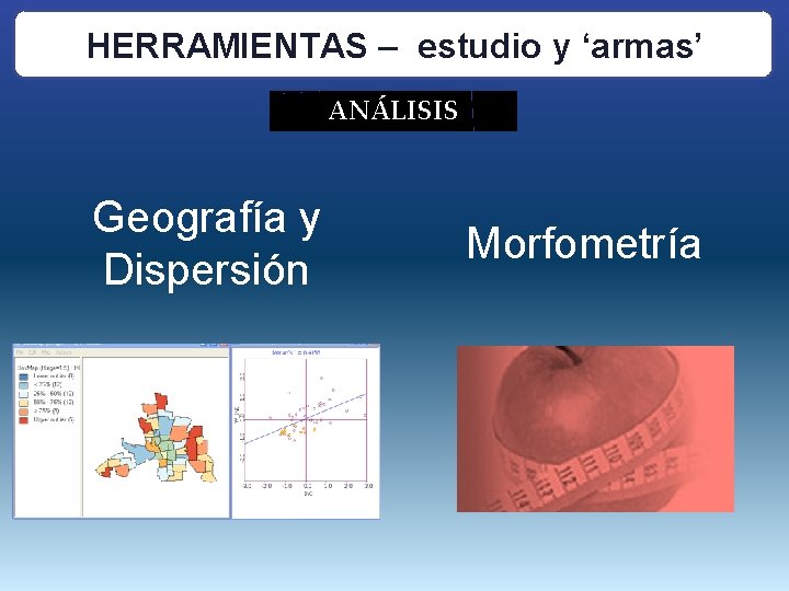 HERRAMIENTAS – estudio y ‘armas’ ANÁLISIS Geografía y Dispersión Morfometría 