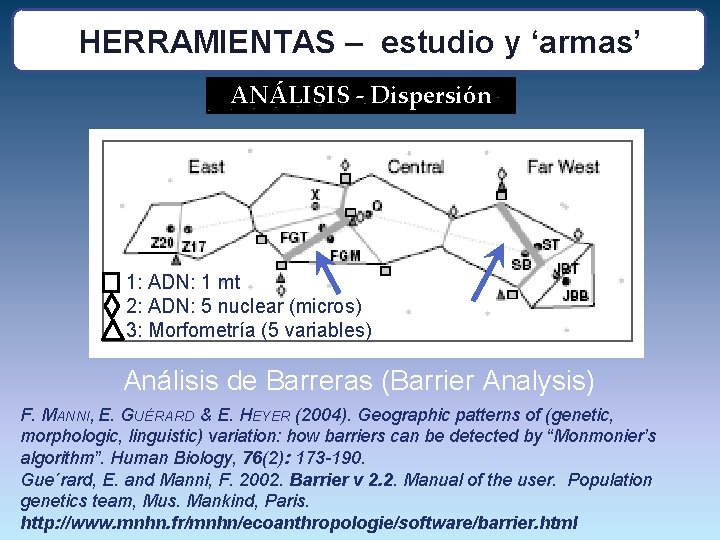 HERRAMIENTAS – estudio y ‘armas’ ANÁLISIS - Dispersión 1: ADN: 1 mt 2: ADN: