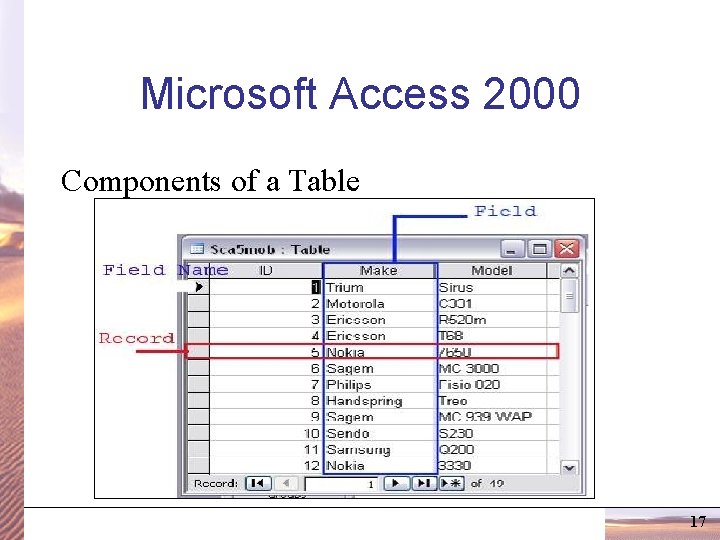 Microsoft Access 2000 Components of a Table 17 