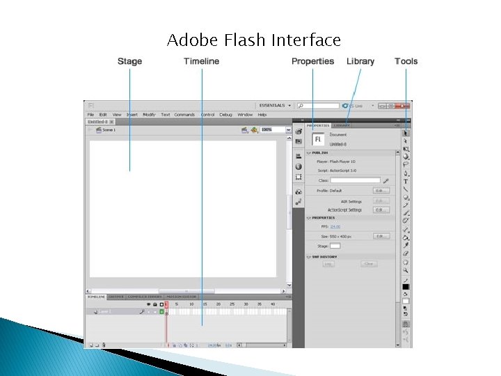 Adobe Flash Interface 
