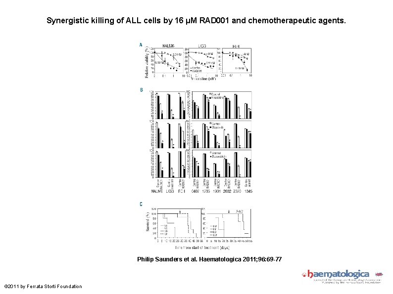 Synergistic killing of ALL cells by 16 μM RAD 001 and chemotherapeutic agents. Philip