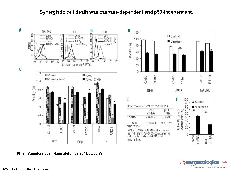 Synergistic cell death was caspase-dependent and p 53 -independent. Philip Saunders et al. Haematologica