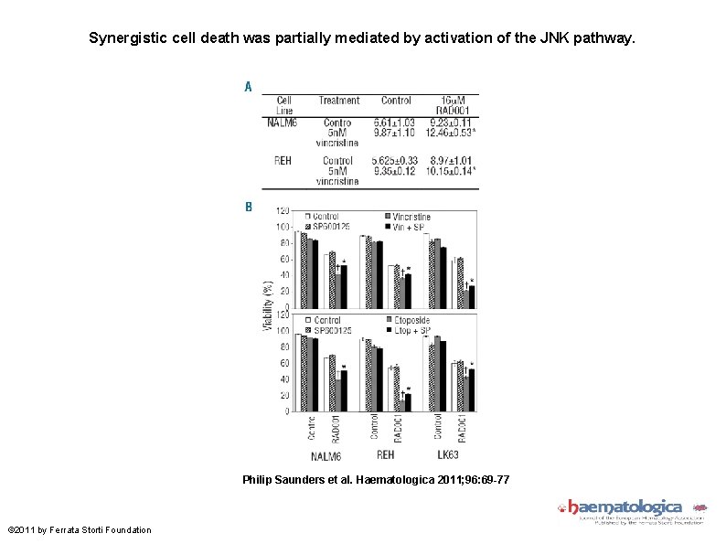 Synergistic cell death was partially mediated by activation of the JNK pathway. Philip Saunders