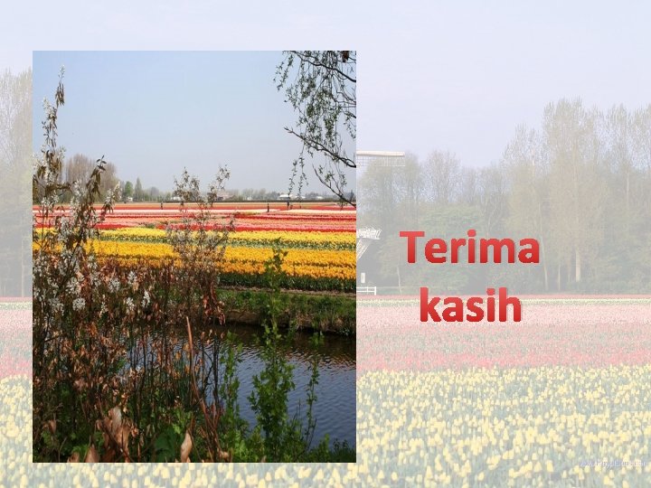 Terima kasih Terima kasih