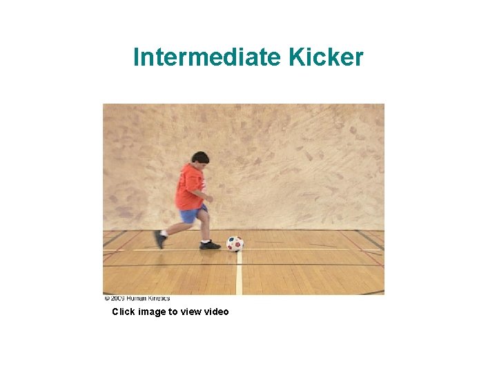 Intermediate Kicker Click image to view video 
