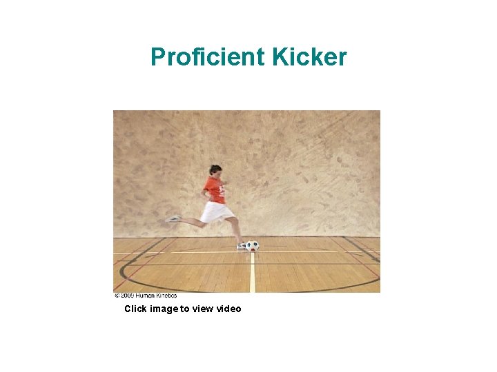 Proficient Kicker Click image to view video 