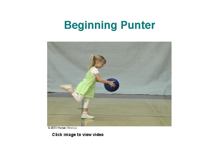 Beginning Punter Click image to view video 