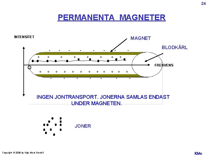 24 PERMANENTA MAGNETER INTENSITET MAGNET + O - + + + - - +
