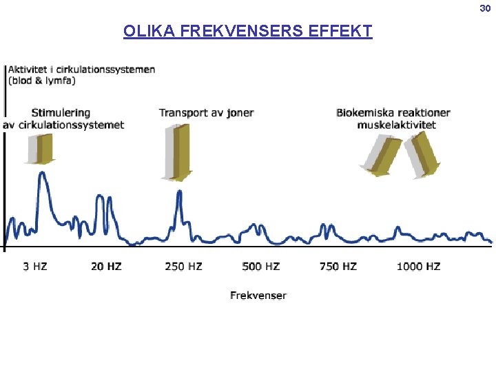 30 OLIKA FREKVENSERS EFFEKT 