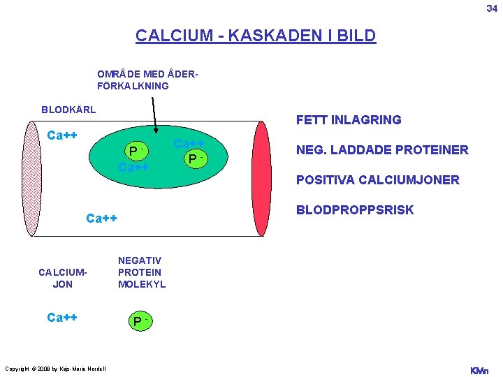 34 CALCIUM - KASKADEN I BILD OMRÅDE MED ÅDERFÖRKALKNING BLODKÄRL FETT INLAGRING Ca++ PCa++