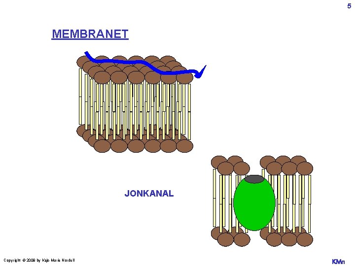 5 MEMBRANET JONKANAL Copyright © 2008 by Kajs-Marie Nordell KMn 