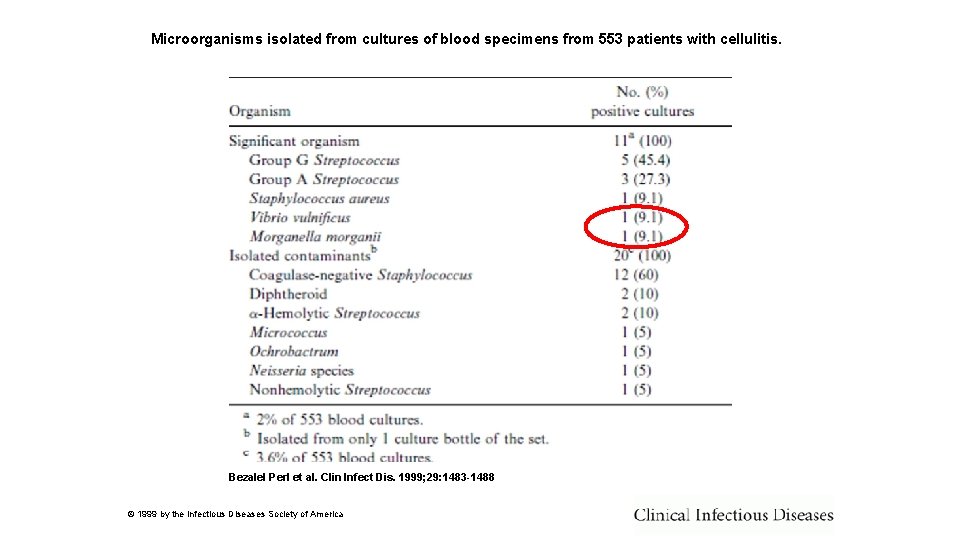 Microorganisms isolated from cultures of blood specimens from 553 patients with cellulitis. Bezalel Perl