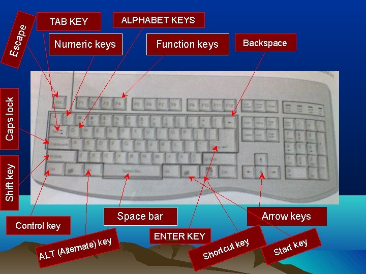 Numeric keys ALPHABET KEYS Function keys Backspace Shift key Caps lock Esc ape TAB