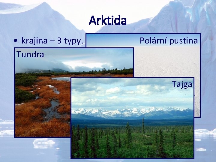 Arktida • krajina – 3 typy. Tundra Polární pustina Tajga 